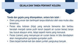 GEJALA DAN TANDA PENYAKIT KOLERA
Tanda dan gejala yang ditampakkan, antara lain ialah :
• Diare yang encer dan berlimpah tanpa didahului oleh rasa mulas atau
tenesmus.
• Feces atau kotoran (tinja) yang semula berwarna dan berbau
berubah menjadi cairan putih keruh (seperti air cucian beras) tanpa
bau busuk ataupun amis, tetapi seperti manis yang menusuk.
• Feces (cairan) yang menyerupai air cucian beras ini bila diendapkan
akan mengeluarkan gumpalan-gumpalan putih.
• Diare terjadi berkali-kali dan dalam jumlah yangcukup banyak.
 