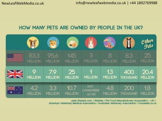 NewLeafWebMedia.co.uk info@newleafwebmedia.co.uk | +44 1892769988
 