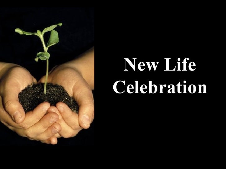 New Life Celebration