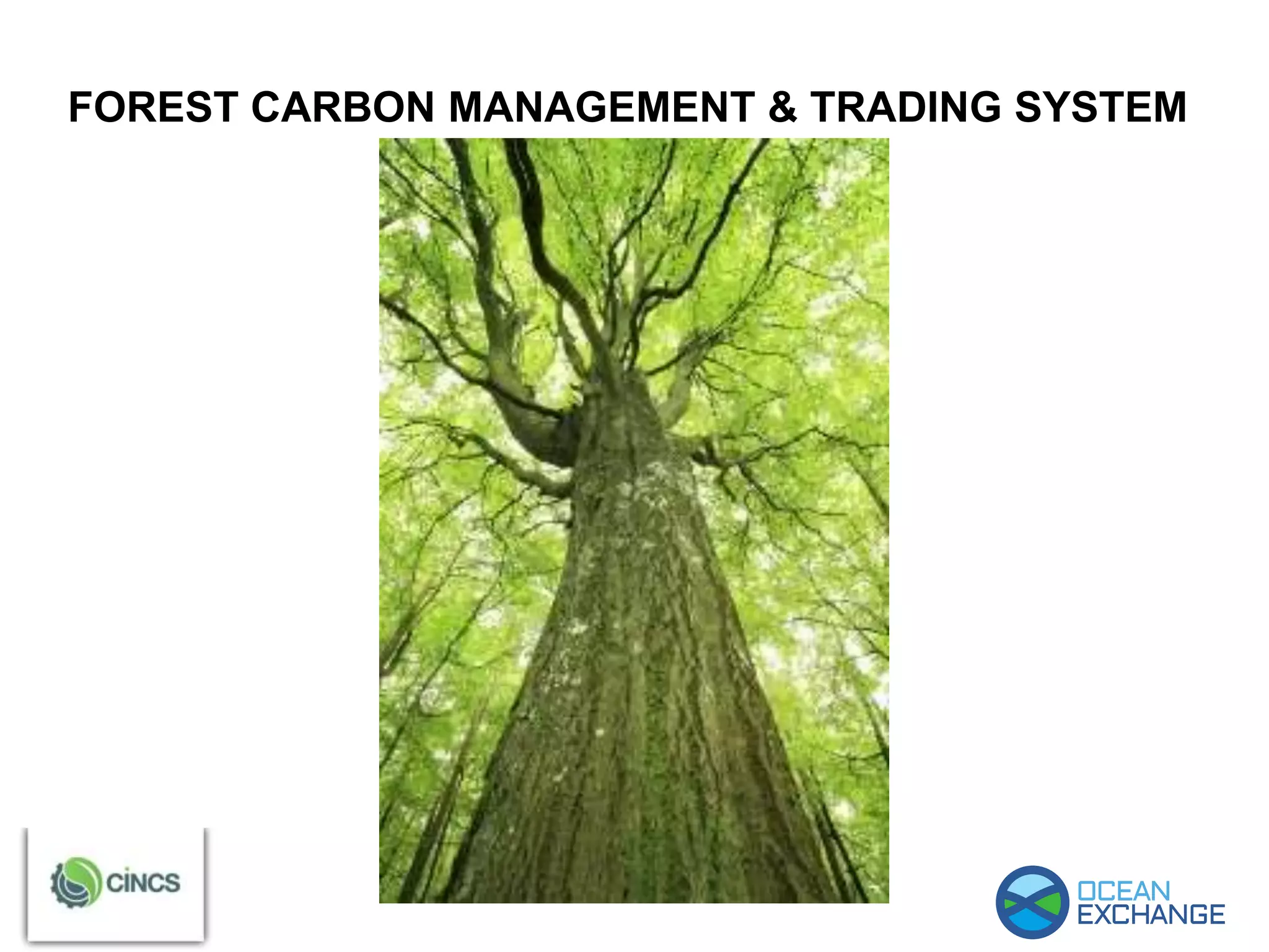FOREST CARBON MANAGEMENT & TRADING SYSTEM