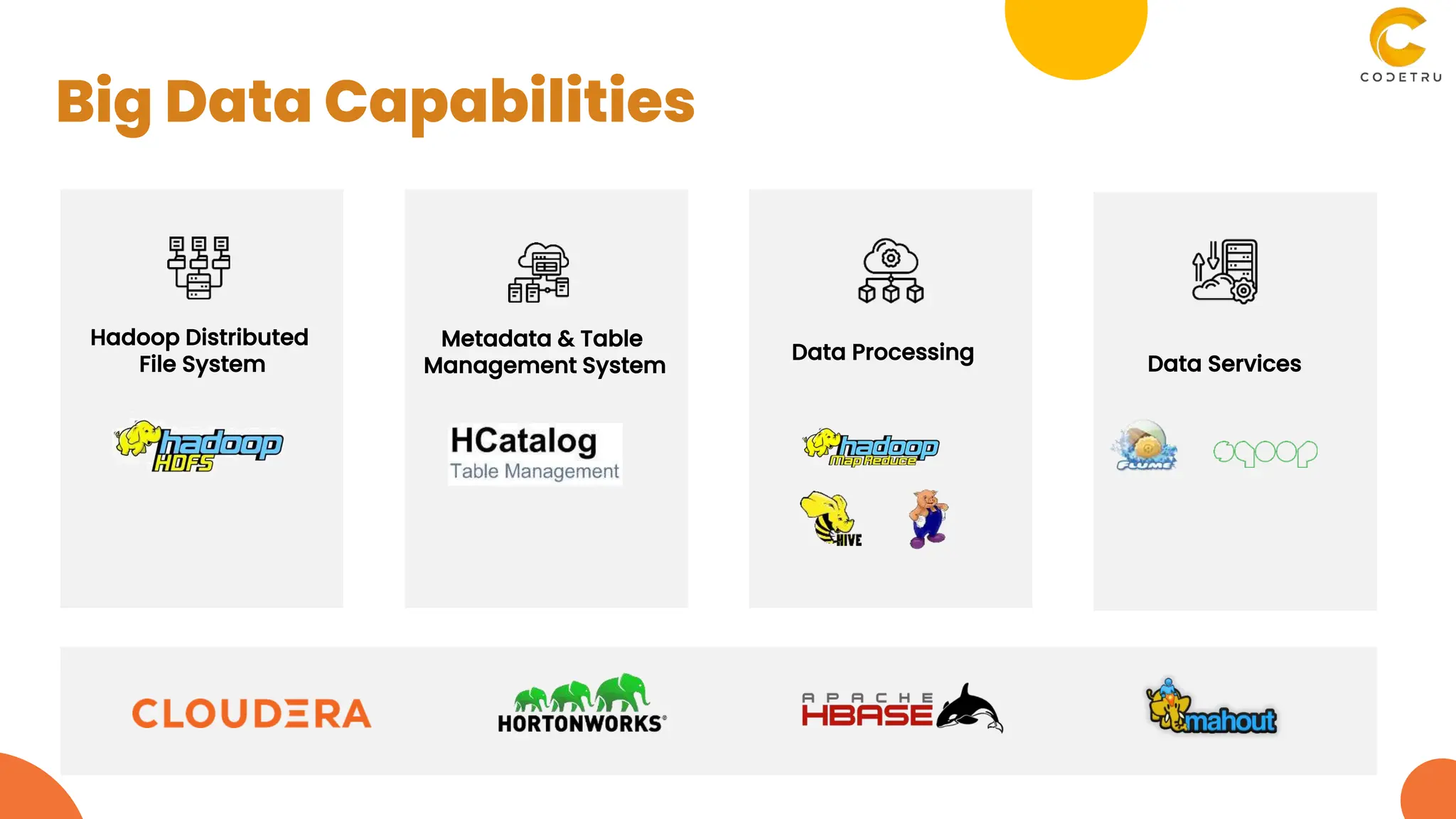Hadoop Distributed
File System
Metadata & Table
Management System
Data Processing
Data Services
Big Data Capabilities
 