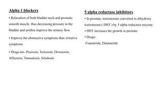Alpha 1 blockers
• Relaxation of both bladder neck and prostatic
smooth muscle, thus decreasing pressure in the
bladder and urethra improve the urinary flow
• Improve the obstructive symptoms than irritative
symptoms
• Drugs are- Prazosin, Terazosin, Doxazosin,
Alfuzosin, Tamsulosin, Silodosin
5 alpha reductase inhibitors
• In prostate, testosterone converted to dihydroxy
testosterone ( DHT ) by 5 alpha reductase enzyme.
• DHT increases the growth in prostate
• Drugs:
Finasteride, Dutasteride
 