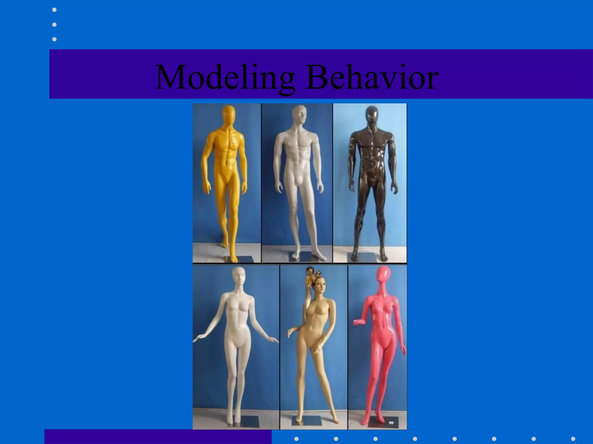 Modeling Behavior 