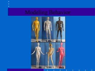 Modeling Behavior 