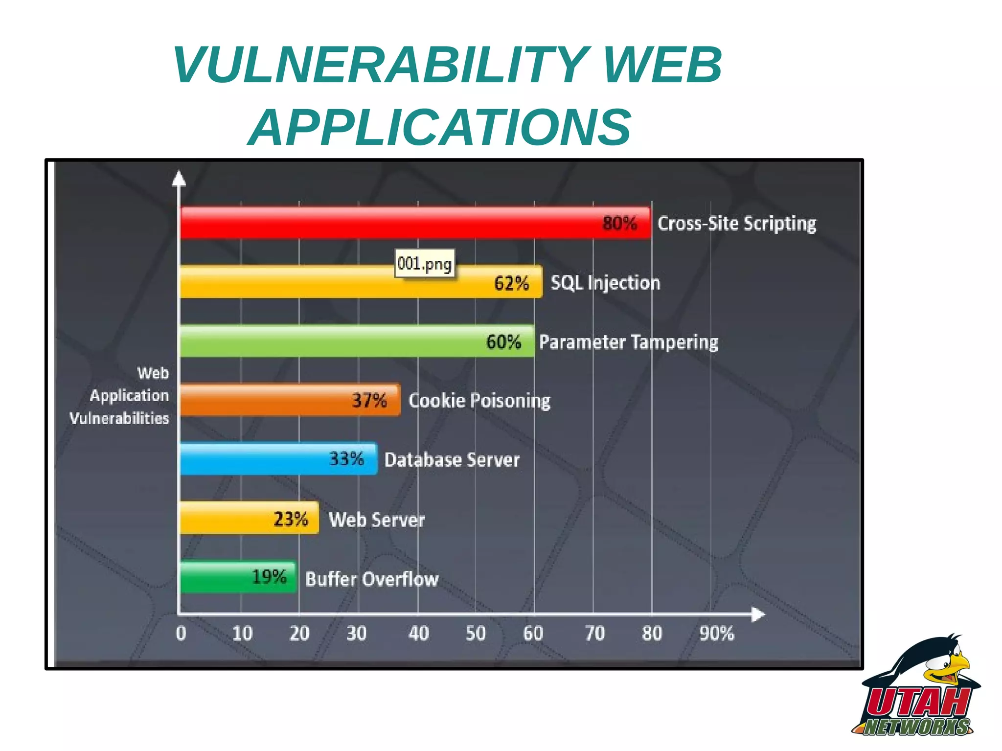 VULNERABILITY WEB APPLICATIONS 