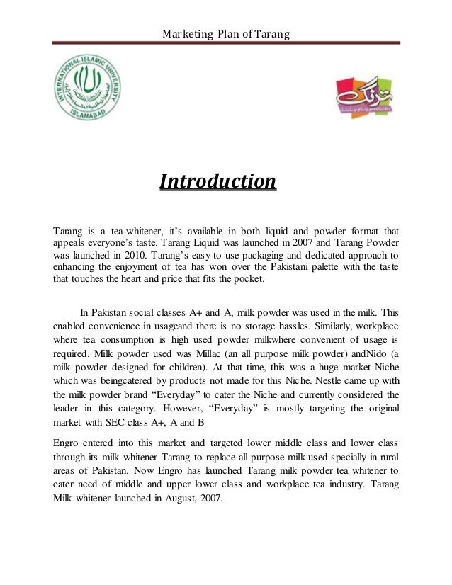 Marketing plan template picture