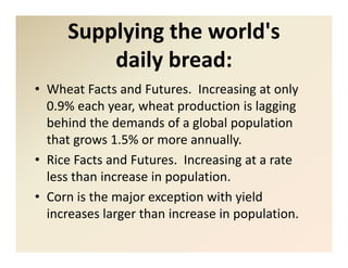 New  mbbi scholars_program