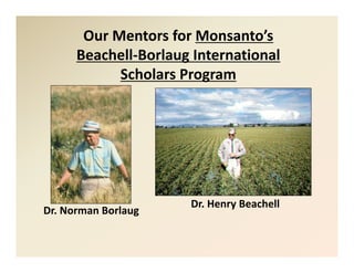 New  mbbi scholars_program