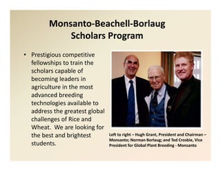 New  mbbi scholars_program