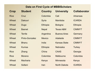 New  mbbi scholars_program