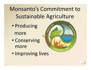 New  mbbi scholars_program