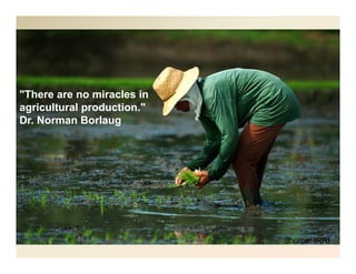 New  mbbi scholars_program