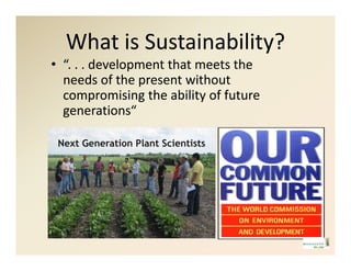 New  mbbi scholars_program