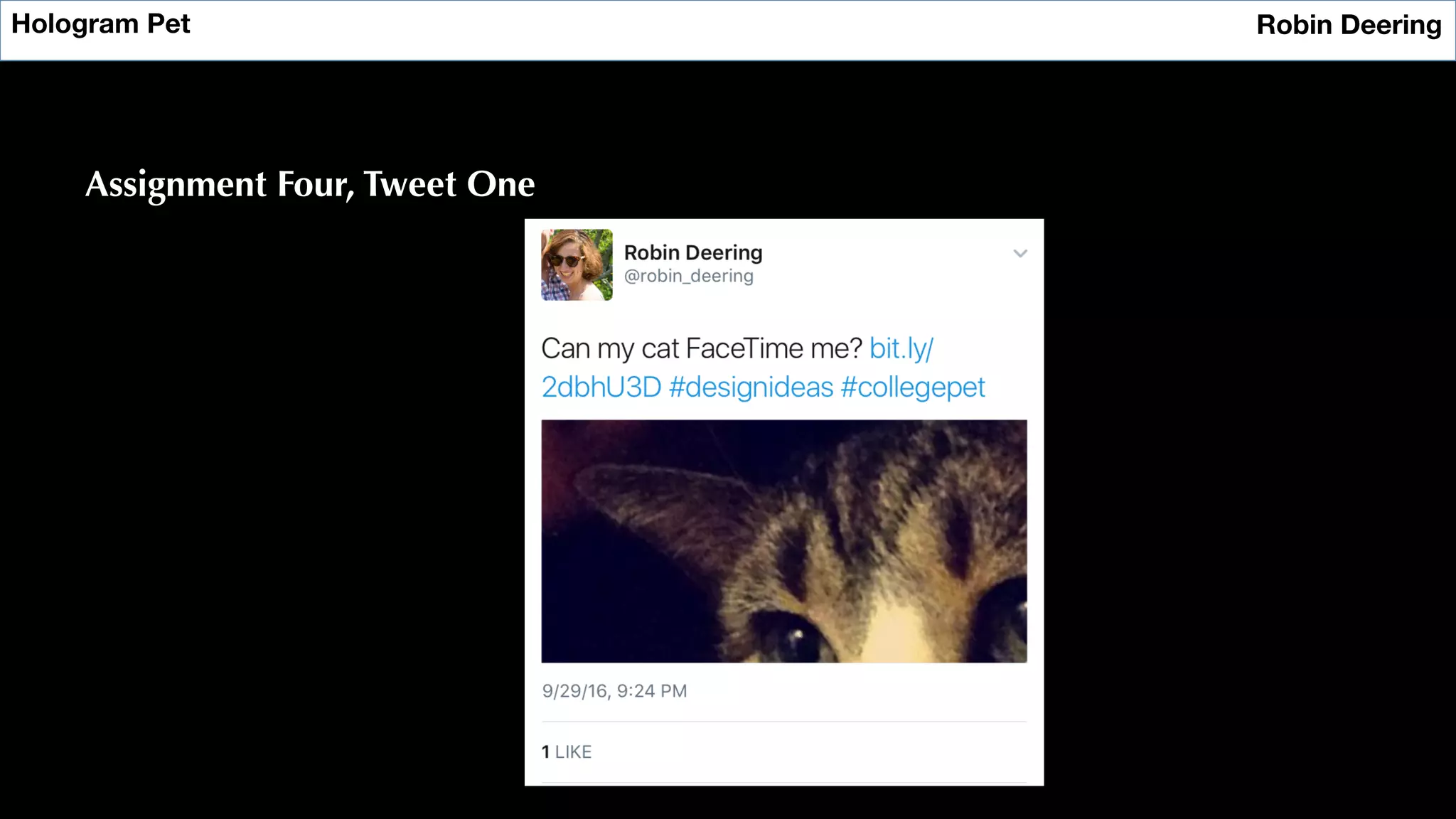 Hologram Pet
 Robin Deering
Assignment Four, Tweet One
 