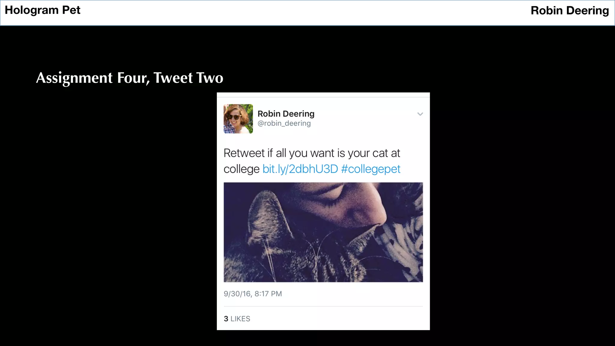 Hologram Pet
 Robin Deering
Assignment Four, Tweet Two
 