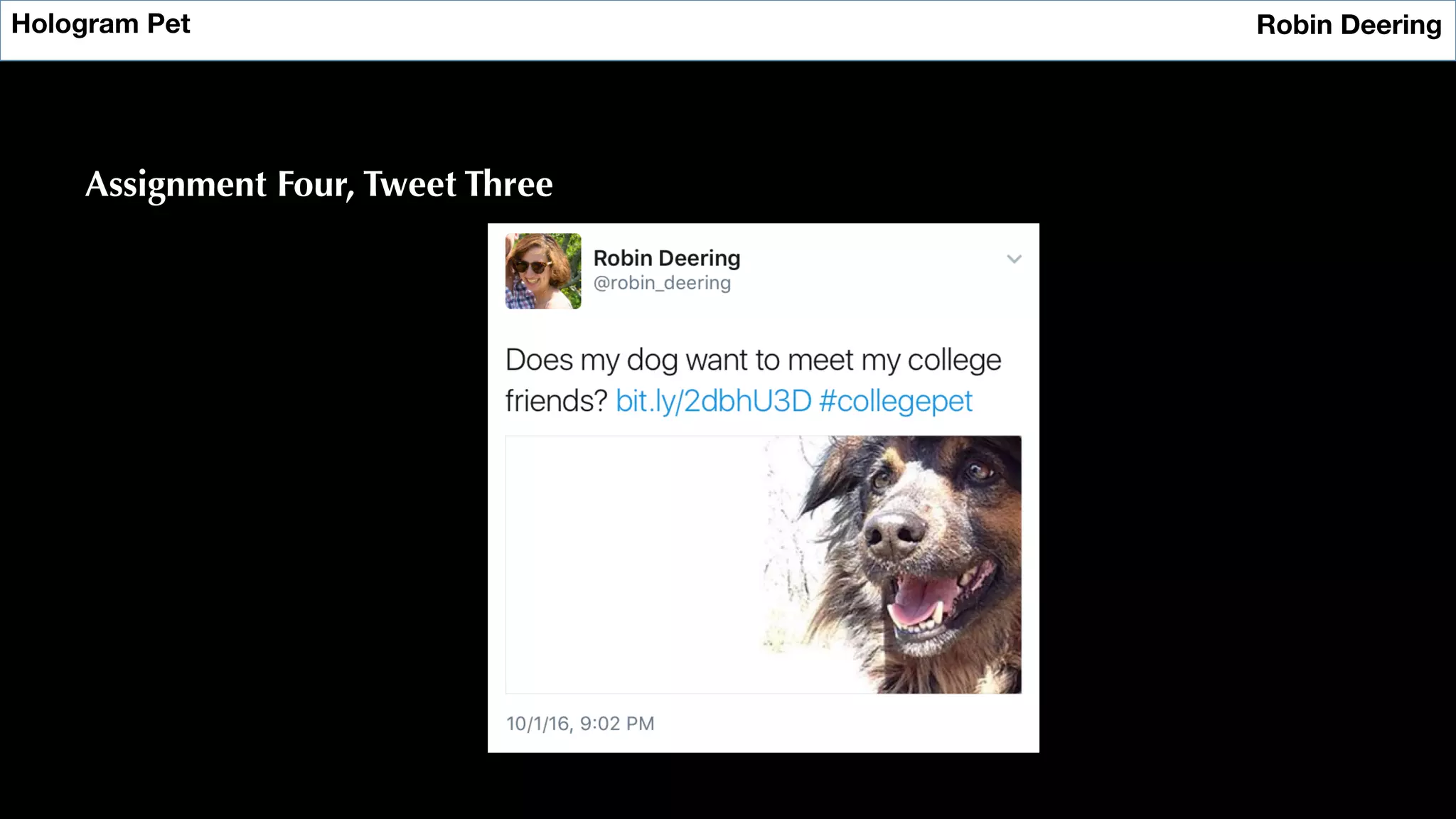 Hologram Pet
 Robin Deering
Assignment Four, Tweet Three
 