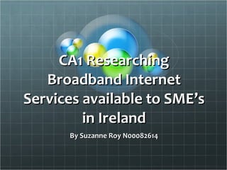 CA1 Researching Broadband Internet Services available to SME’s in Ireland By Suzanne Roy N00082614 