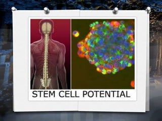 New medical breakthroughs