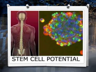 New medical breakthroughs