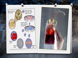 New medical breakthroughs