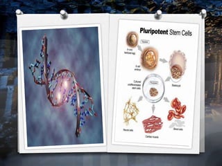 New medical breakthroughs