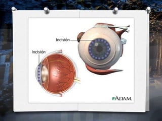 New medical breakthroughs