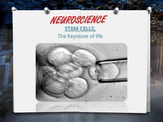 NEUROSCIENCESTEM CELLS,The Keystone of life
