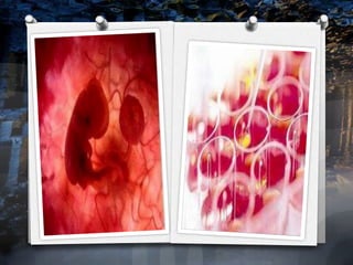 New medical breakthroughs