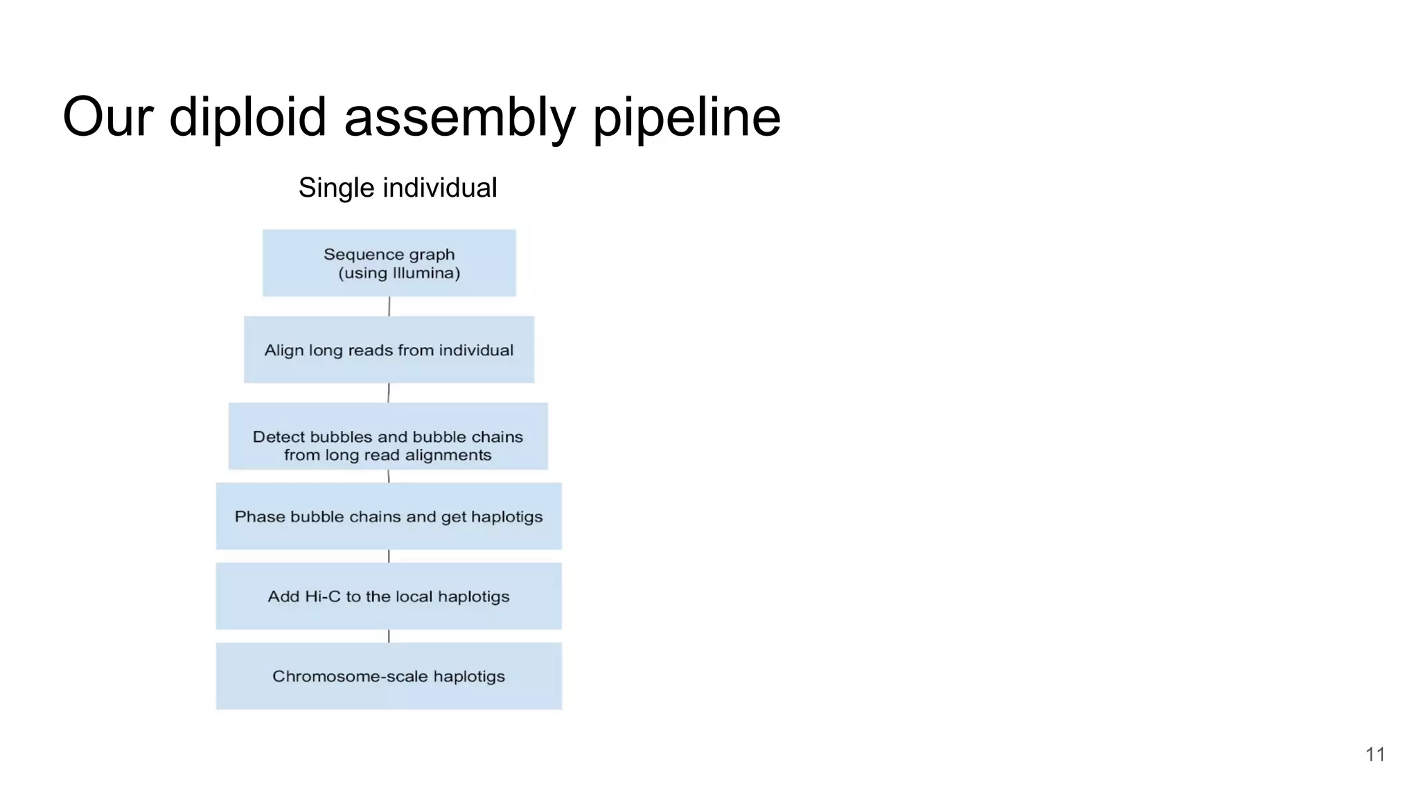 Our diploid assembly pipeline
11
Single individual
 