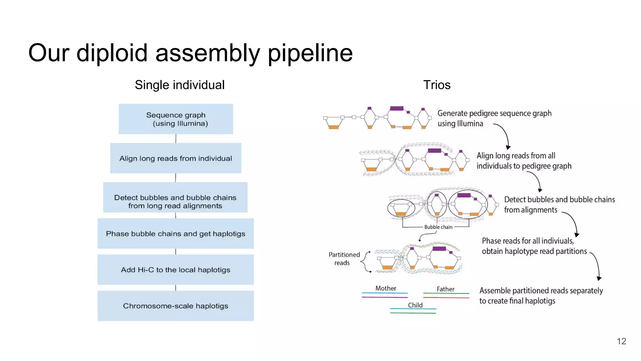 Our diploid assembly pipeline
12
Single individual Trios
 