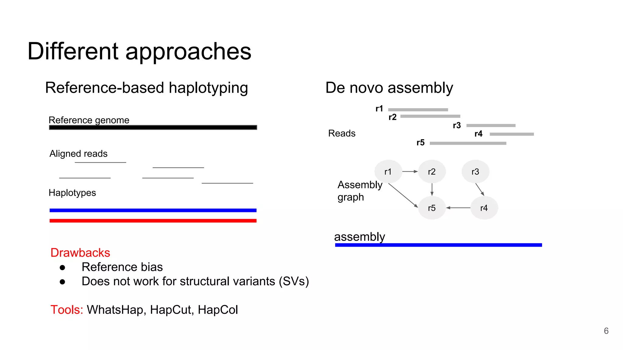 De novo assembly
Different approaches
Reference-based haplotyping
Reference genome
Aligned reads
Haplotypes
Drawbacks
● Reference bias
● Does not work for structural variants (SVs)
r1
r2
r3
r4
r5
r1 r2 r3
r4r5
Assembly
graph
assembly
Reads
Tools: WhatsHap, HapCut, HapCol
6
 