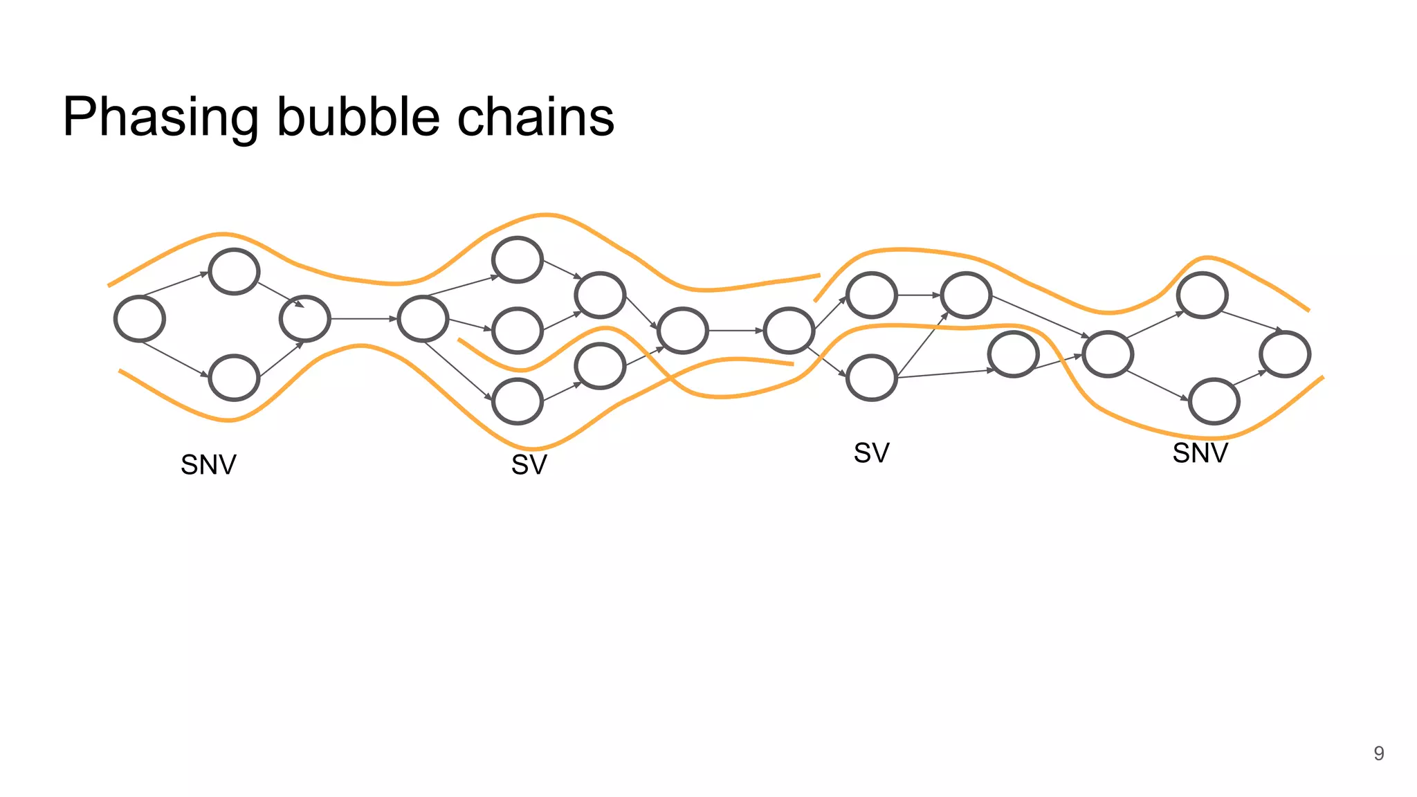 Phasing bubble chains
SNV SV SV SNV
9
 