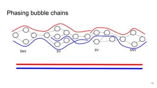 Phasing bubble chains
SNV SV SV SNV
10
 