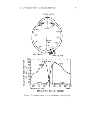 1.1. INTRODUCTION TO 3D METROLOGY 9
Figure 1.1: Concentration of light transducers on the retina.
 