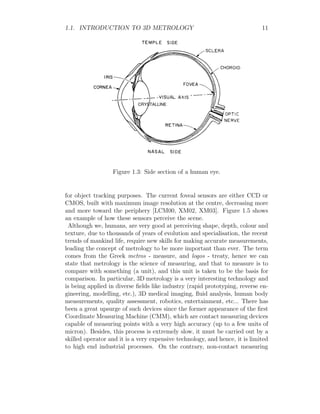 1.1. INTRODUCTION TO 3D METROLOGY 11
Figure 1.3: Side section of a human eye.
for object tracking purposes. The current foveal sensors are either CCD or
CMOS, built with maximum image resolution at the centre, decreasing more
and more toward the periphery [LCM00, XM02, XM03]. Figure 1.5 shows
an example of how these sensors perceive the scene.
Although we, humans, are very good at perceiving shape, depth, colour and
texture, due to thousands of years of evolution and specialisation, the recent
trends of mankind life, require new skills for making accurate measurements,
leading the concept of metrology to be more important than ever. The term
comes from the Greek metros - measure, and logos - treaty, hence we can
state that metrology is the science of measuring, and that to measure is to
compare with something (a unit), and this unit is taken to be the basis for
comparison. In particular, 3D metrology is a very interesting technology and
is being applied in diverse fields like industry (rapid prototyping, reverse en-
gineering, modelling, etc.), 3D medical imaging, fluid analysis, human body
measurements, quality assessment, robotics, entertainment, etc... There has
been a great upsurge of such devices since the former appearance of the first
Coordinate Measuring Machine (CMM), which are contact measuring devices
capable of measuring points with a very high accuracy (up to a few units of
micron). Besides, this process is extremely slow, it must be carried out by a
skilled operator and it is a very expensive technology, and hence, it is limited
to high end industrial processes. On the contrary, non-contact measuring
 