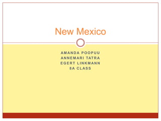 Amanda Poopuu Annemari Tatra Egert Linkmann 8a class New Mexico 