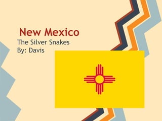 New Mexico
The Silver Snakes
By: Davis
 