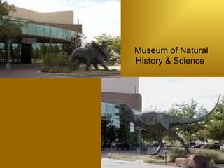 Museum of Natural History & Science  