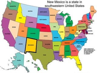 New Mexico is a state in southwestern United States 