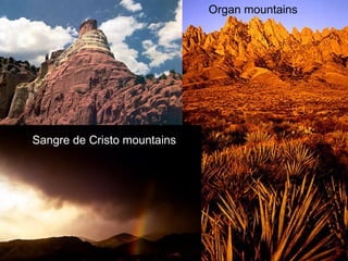 Organ mountains Sangre de Cristo mountains 