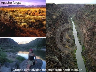 Apache forest Grande river divides the state from north to south 