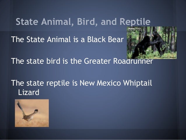 New Mexico Natural Resources Wikipedia New Mexico Natural Resources Wikipedia