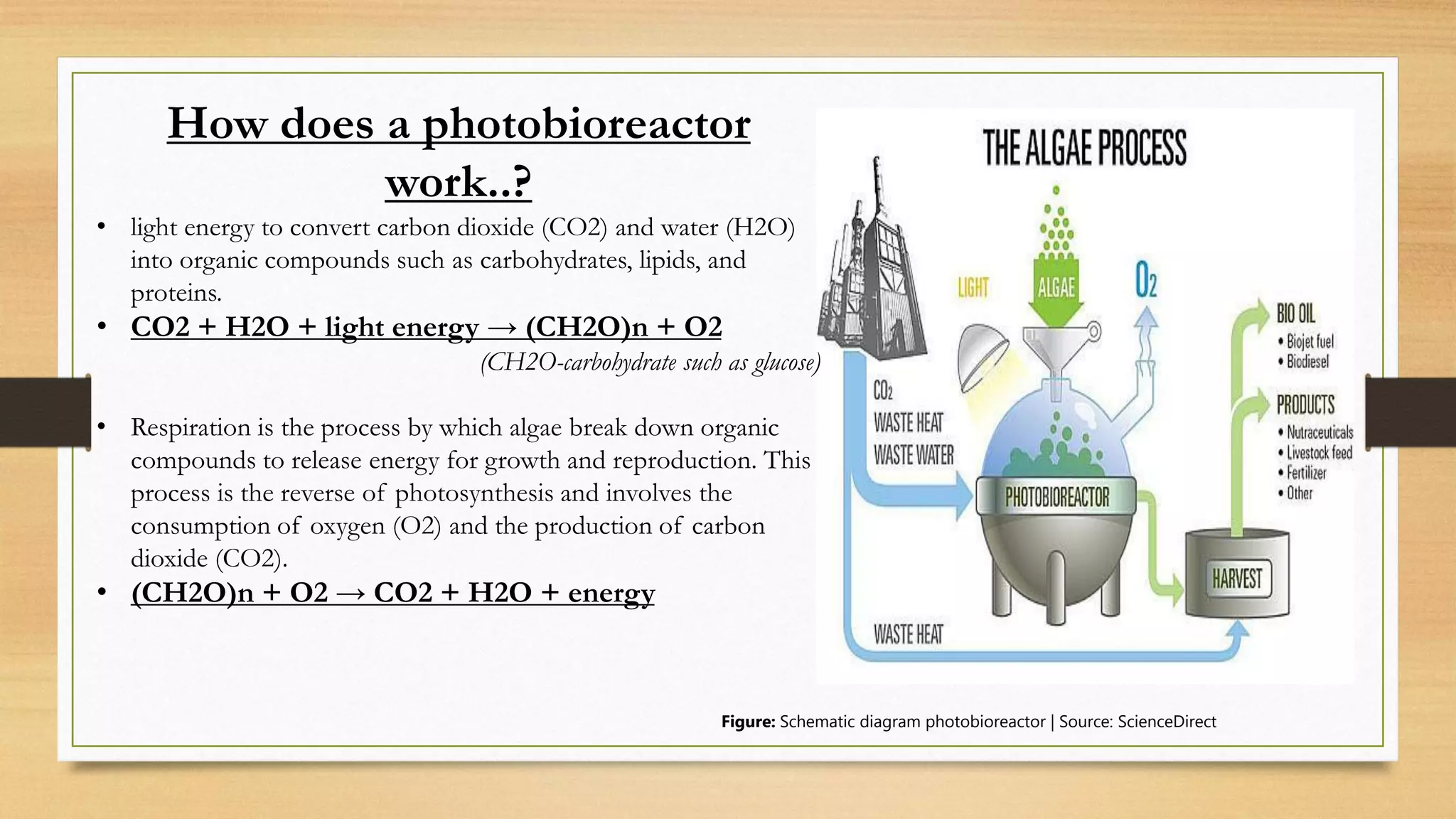 photo bioreactor types,advantage,disadvantage,contruction | PDF