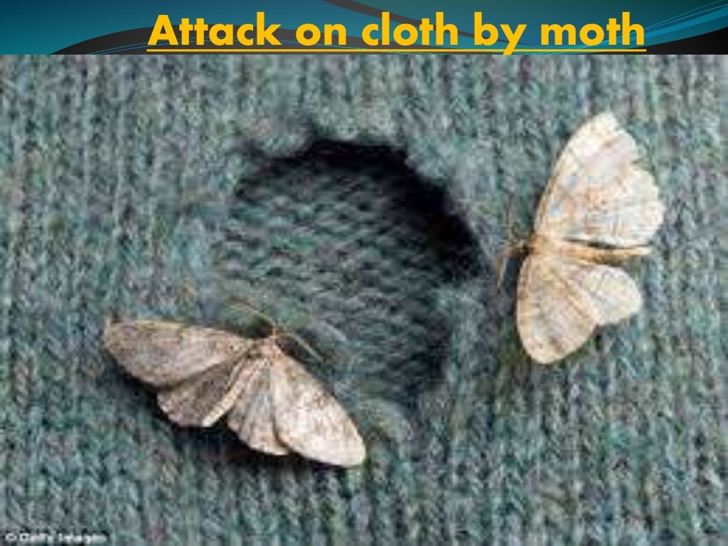moth proofing of textile material