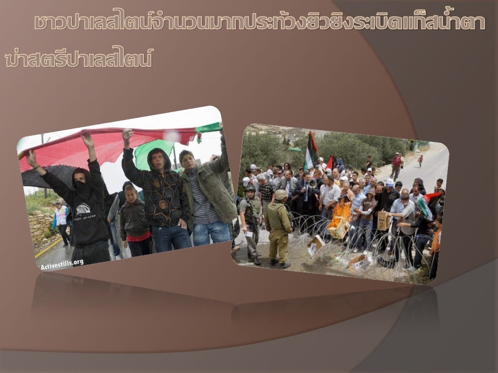 PLO Palestine Liberation Organization องค์กรปลดปล่อยปาเลสไตน์