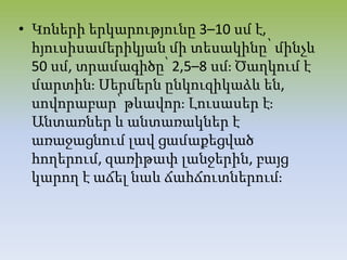 • Կոների երկարությունը 3–10 սմ է,
հյուսիսամերիկյան մի տեսակինը՝ մինչև
50 սմ, տրամագիծը՝ 2,5–8 սմֈ Ծաղկում է
մարտինֈ Սերմերն ընկուզիկաձև են,
սովորաբար՝ թևավորֈ Լուսասեր էֈ
Անտառներ և անտառակներ է
առաջացնում լավ ցամաքեցված
հողերում, զառիթափ լանջերին, բայց
կարող է աճել նաև ճահճուտներումֈ
 