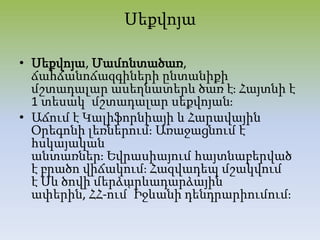 Սեքվոյա
• Սեքվոյա, Մամոնտածառ,
ճահճանոճազգիների ընտանիքի
մշտադալար ասեղնատերև ծառ էֈ Հայտնի է
1 տեսակ՝ մշտադալար սեքվոյանֈ
• Աճում է Կալիֆորնիայի և Հարավային
Օրեգոնի լեռներումֈ Առաջացնում է
հսկայական
անտառներֈ Եվրասիայում հայտնաբերված
է բրածո վիճակումֈ Հազվադեպ մշակվում
է Սև ծովի մերձարևադարձային
ափերին, ՀՀ-ում՝ Իջևանի դենդրարիումումֈ
 