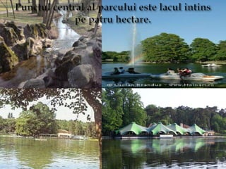 Punctul central al parcului este lacul intins pe patru hectare.