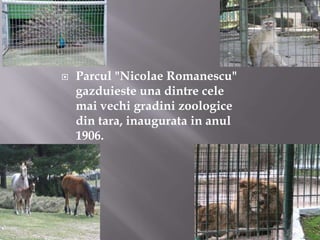 Parcul "Nicolae Romanescu" gazduieste una dintre cele mai vechi gradini zoologice din tara, inaugurata in anul 1906.