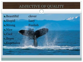 ADJECTIVE OF QUALITY Beautiful		clever Stupid		Lazy	 Strong		Foolish Nice		Hot Cool		Cheap Brave		Dead Expensive		 